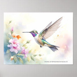 Poster Hummingbird