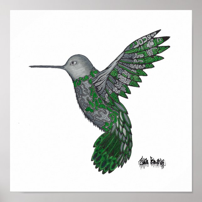 Poster Hummingbird (Frente)