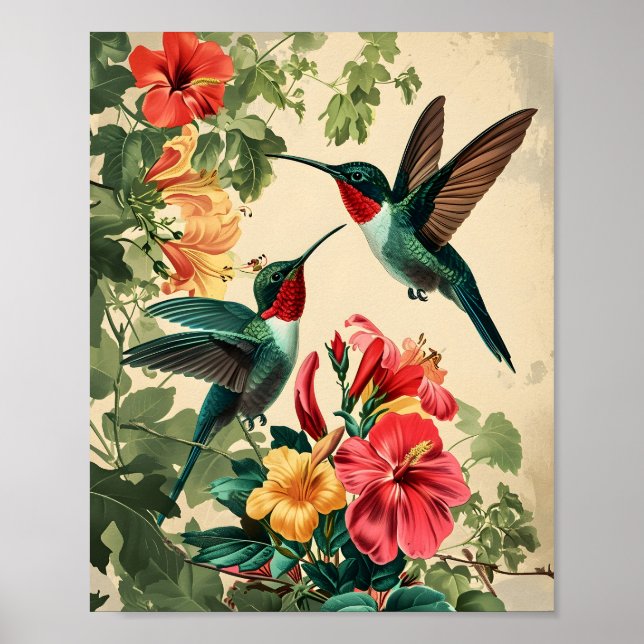 Poster Hummingbird e Flores: Vintage (Frente)