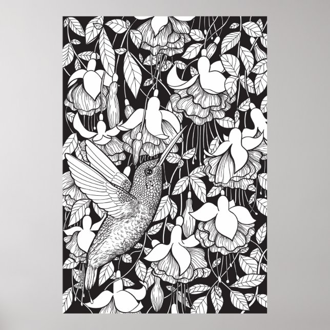 Poster Hummingbird e fuchsia (Frente)