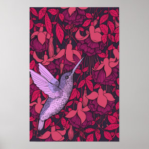 Poster Hummingbird e fuchsia violet