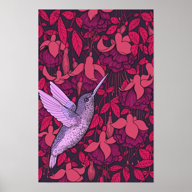 Poster Hummingbird e fuchsia violet (Frente)
