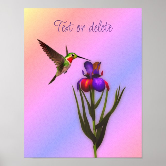 Poster Hummingbird E Iris Flor Personalizado (Frente)