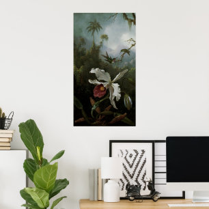 Pôster Hummingbird e Orquídea Branca por Martin J. Heade