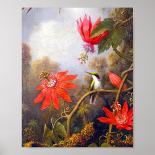 Poster Hummingbird e Passiflora por Martin Johnson Heade