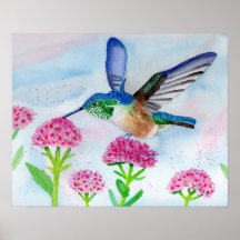 Hummingbird em Watercolor