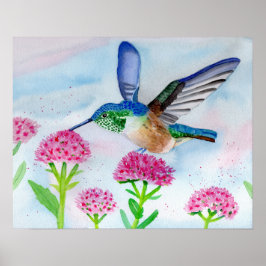 Poster Hummingbird em Watercolor