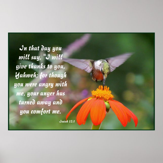 Pôster Hummingbird Flor Floral Isaiah 12:2 (Frente)