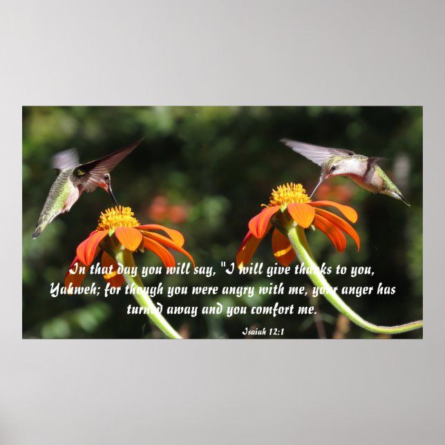 Poster Hummingbird Flor Floral Isaiah 12:2 Conforto (Frente)
