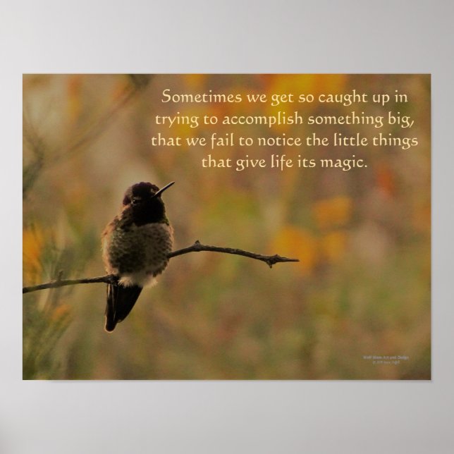 Poster Hummingbird Nas Cores Amarelas Quentes De Ramifica (Frente)