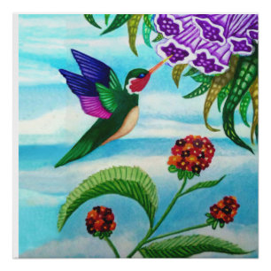 Pôster Hummingbird Skys