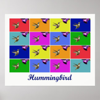 Poster Hummingbird x16 (Título)