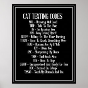Poster Humor de Códigos de Texto de Cat
