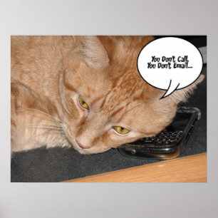 Poster Humor de Gato de Orange Tabby