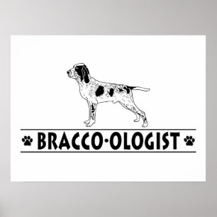 Pôster Humorous Bracco Italiano