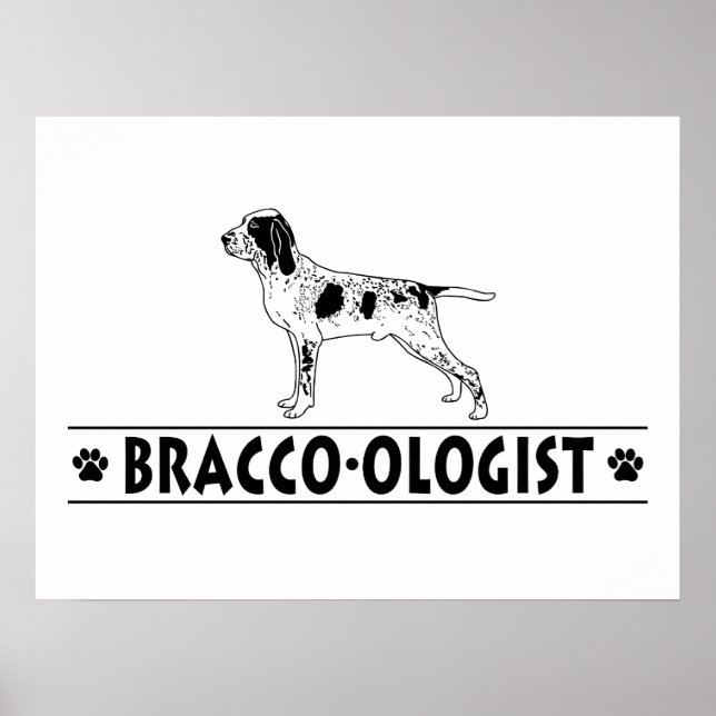 Pôster Humorous Bracco Italiano (Frente)