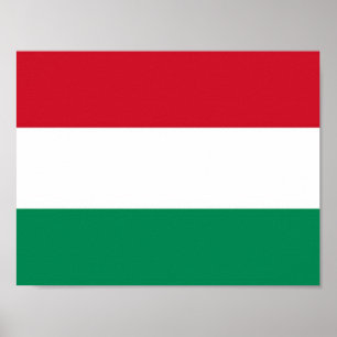 Poster Hungria - Bandeira húngara -