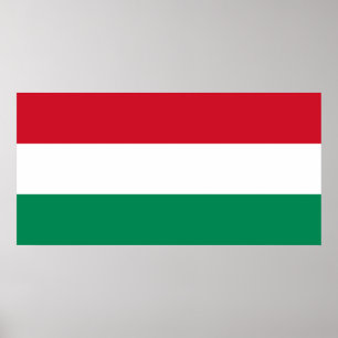 Poster Hungria - bandeira nacional húngara