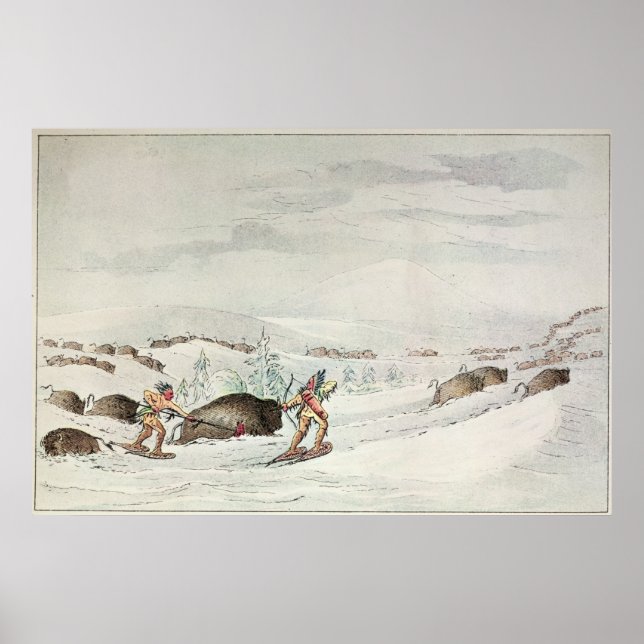 Pôster Hunting buffalo on snow-shoes (Frente)