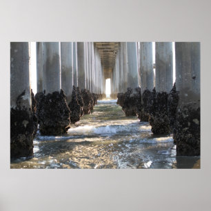 Pôster Huntington Beach California