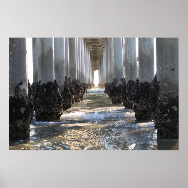 Pôster Huntington Beach California (Frente)