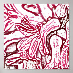 Poster Hyacinth Pink Editado
