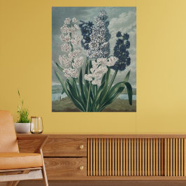 Poster Hyacinths (1807) - Exquisite Vintage Botânica