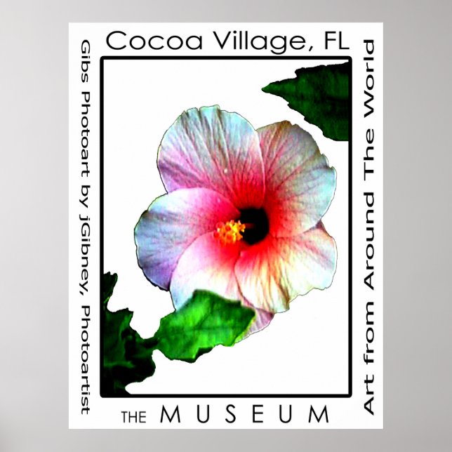 Poster Hybiscus p3 da vila do cacau O MUSEU Zazzle (Frente)