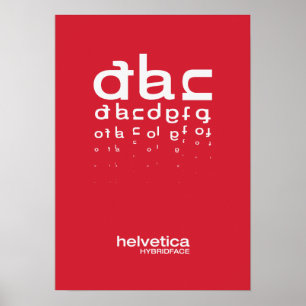 Poster Hybridface 02