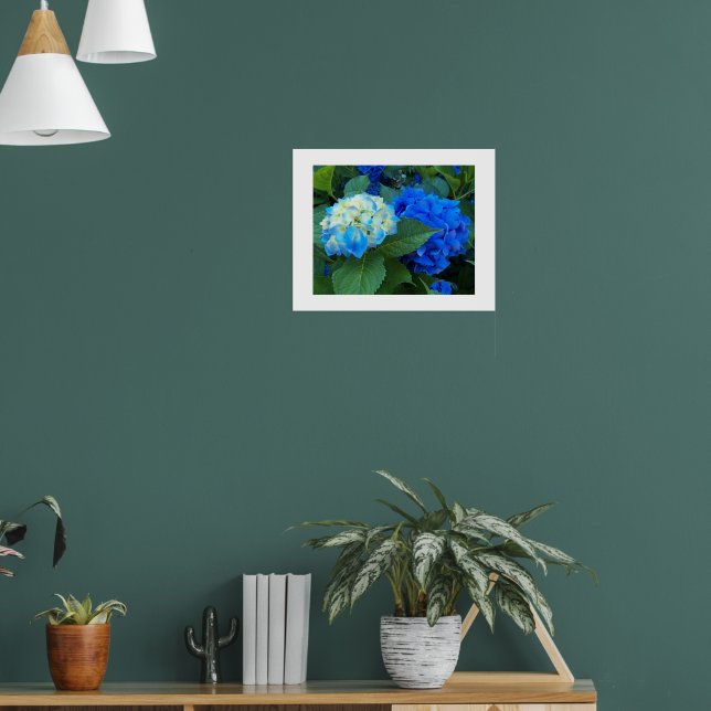 Poster Hydrangea Blooms Floral Fotografia (Sala de Estar 1)