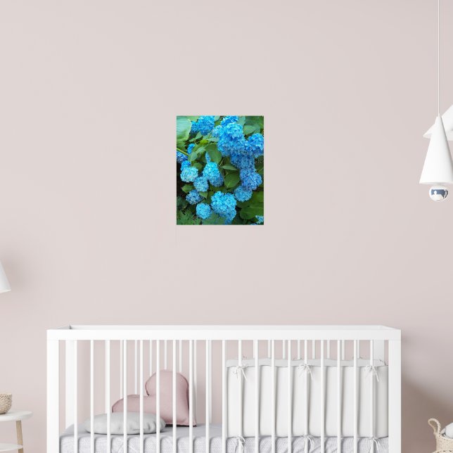 Poster Hydrangea Blooms Floral Fotografia (Berçário 2)