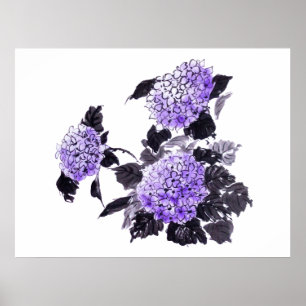 Poster Hydrangea florins sumie