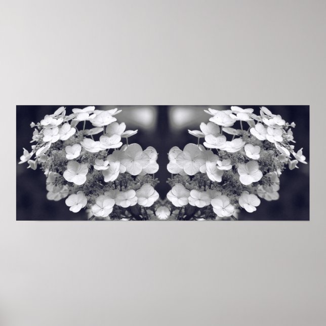 Poster Hydrangea Flower Black E White Mirror Abstrato (Frente)