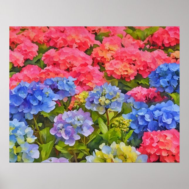 Poster Hydrangea Flowers Aquarela Estilo Arte (Frente)