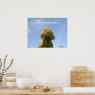 Poster Hydrangea Flowers Blue Sky