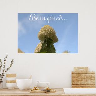 Poster Hydrangea Flowers Blue Sky