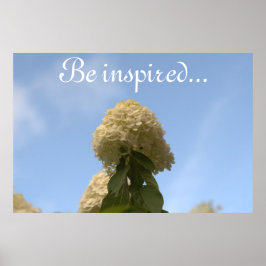 Poster Hydrangea Flowers Blue Sky