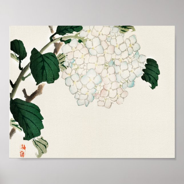 Poster Hydrangea por Kōno Bairei (Frente)