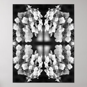 Poster Hydrangea Preto E Espelho Branco Abstrato   