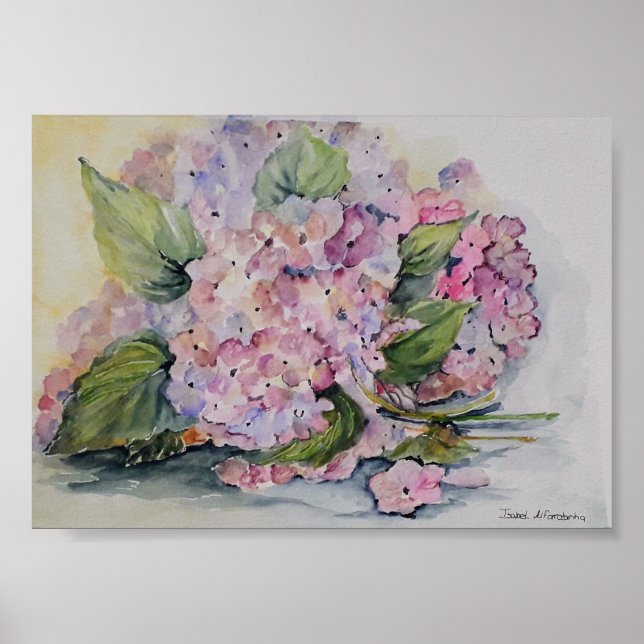 Poster Hydrangeas (Frente)