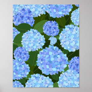 Poster Hydrangeas Azul Claro