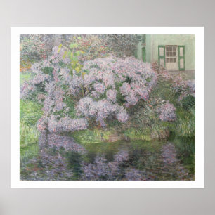 Pôster Hydrangeas nos bancos do rio Lys, 1898 (oi