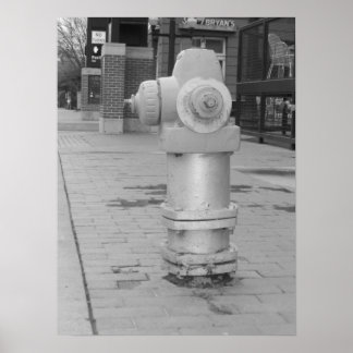 Poster Hydrant de Fogo