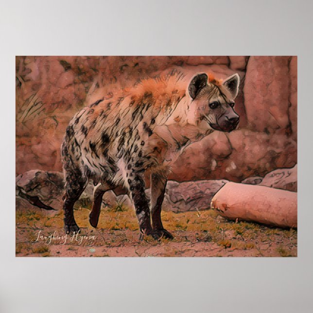 Poster Hyena Ridente:Arquivar Papel Pesado (Frente)