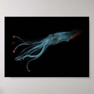 Pôster Hypothetical Squid