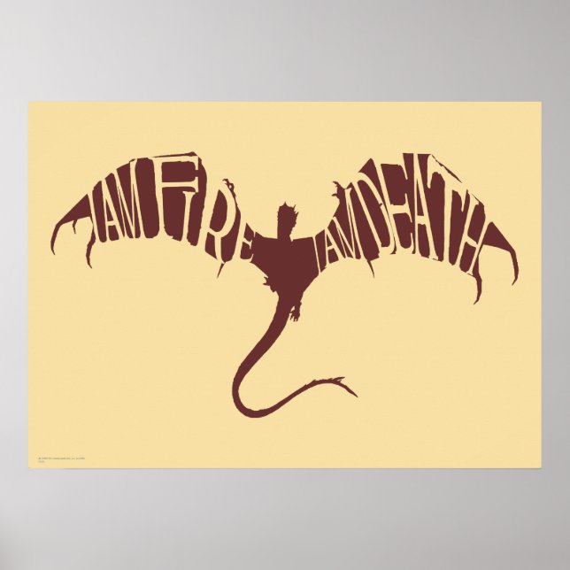 Poster I Am Fire I Am Death - Graphic (Frente)