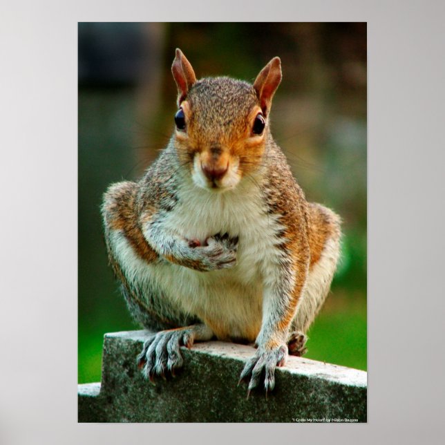 Pôster "I Cross My Heart" (Frente)