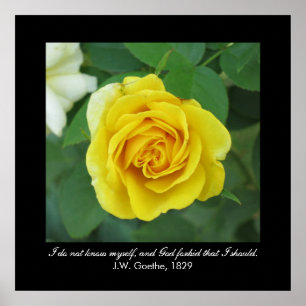 Poster I do not know myself . . . (Goethe)