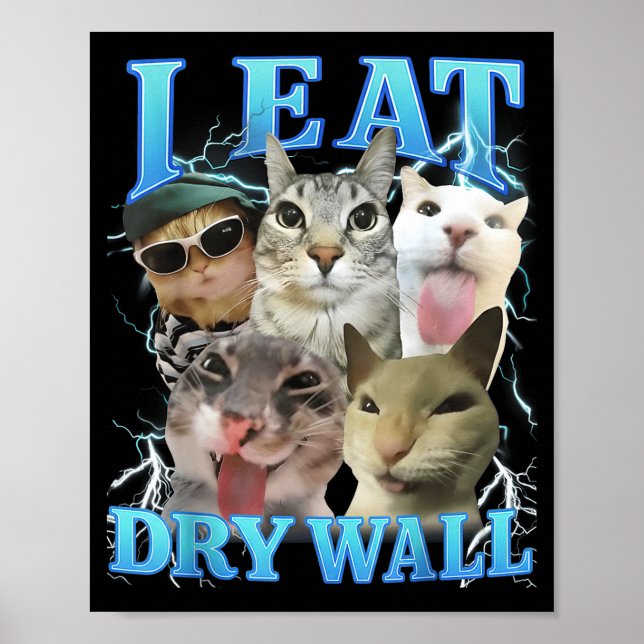 Poster I Eat Dry Wall Funny Cat Meme  (Frente)