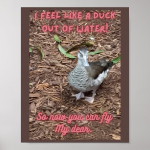 Poster I feel like a duck out of water inspirational